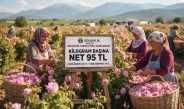 ISPARTA GÜLÇİÇEĞİ TABAN FİYATI 95-TL